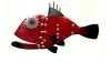 RED  SNAPPER
