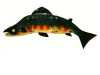 KING SALMON